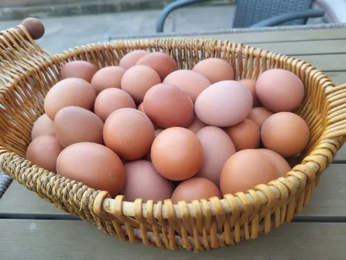 Cene i oglasi na pijacama