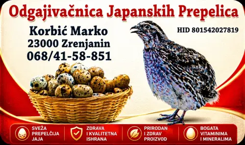 Cene i oglasi na pijacama