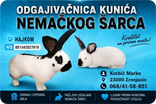 Cene i oglasi na pijacama