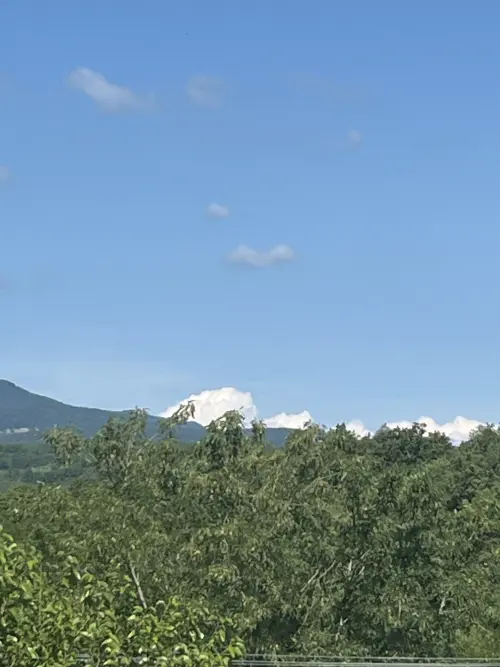 Cene i oglasi na pijacama