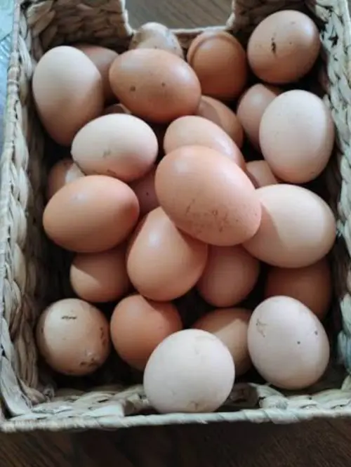Cene i oglasi na pijacama