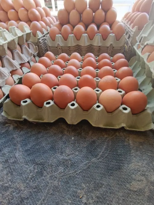 Cene i oglasi na pijacama