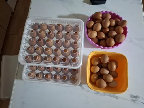 Cene i oglasi na pijacama