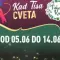 Kad Tisa cveta Novi Bečej 2026