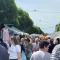 Krstovdanski vašar Smederevska Palanka 2026