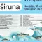 Koncerti Dan širuna Budva 2026