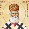 Sveti Petar Dabrobosanski